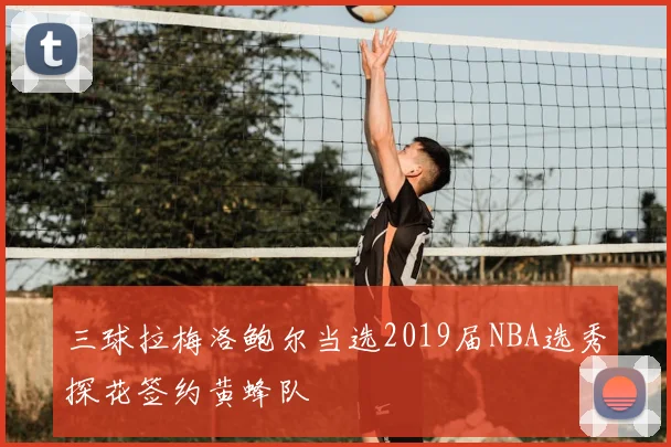 三球拉梅洛鲍尔当选2019届NBA选秀探花签约黄蜂队