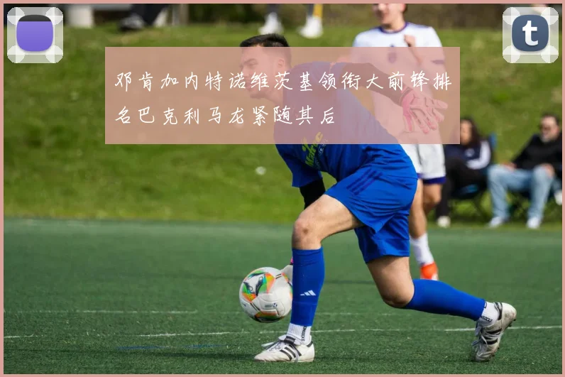 邓肯加内特诺维茨基领衔大前锋排名巴克利马龙紧随其后