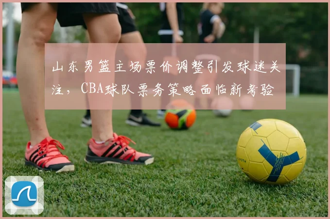山东男篮主场票价调整引发球迷关注,CBA球队票务策略面临新考验