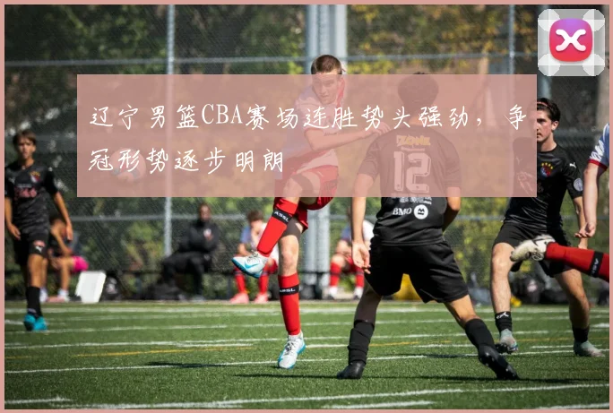 辽宁男篮CBA赛场连胜势头强劲,争冠形势逐步明朗
