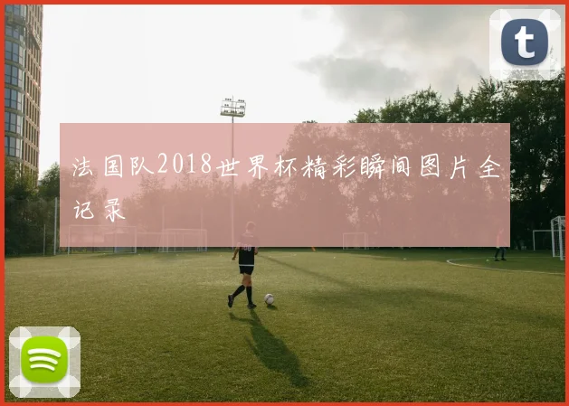 法国队2018世界杯精彩瞬间图片全记录
