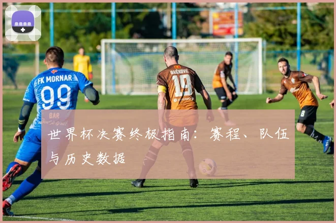 世界杯决赛终极指南：赛程、队伍与历史数据